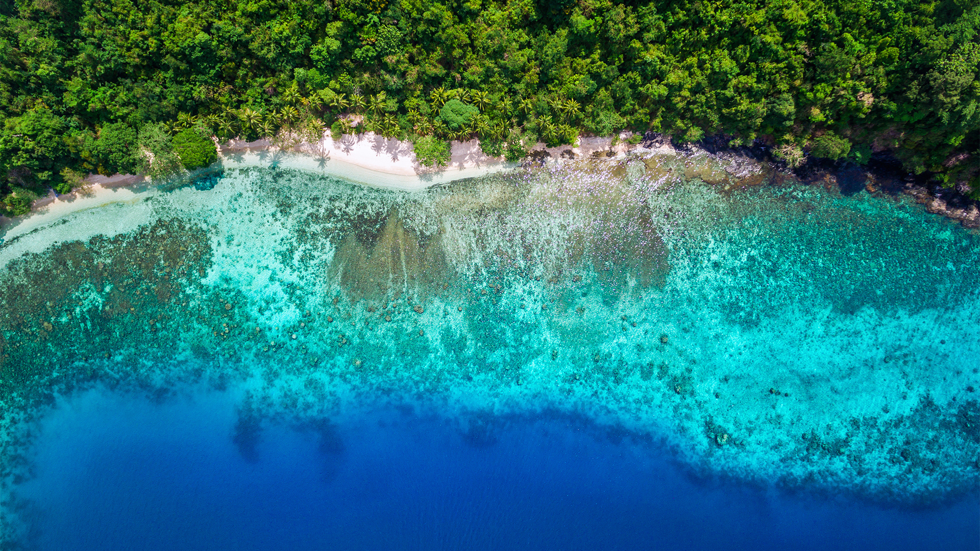 Beautiful blues of ocean water - featured image on Lake Pointe Travel Forney Travel Agent page