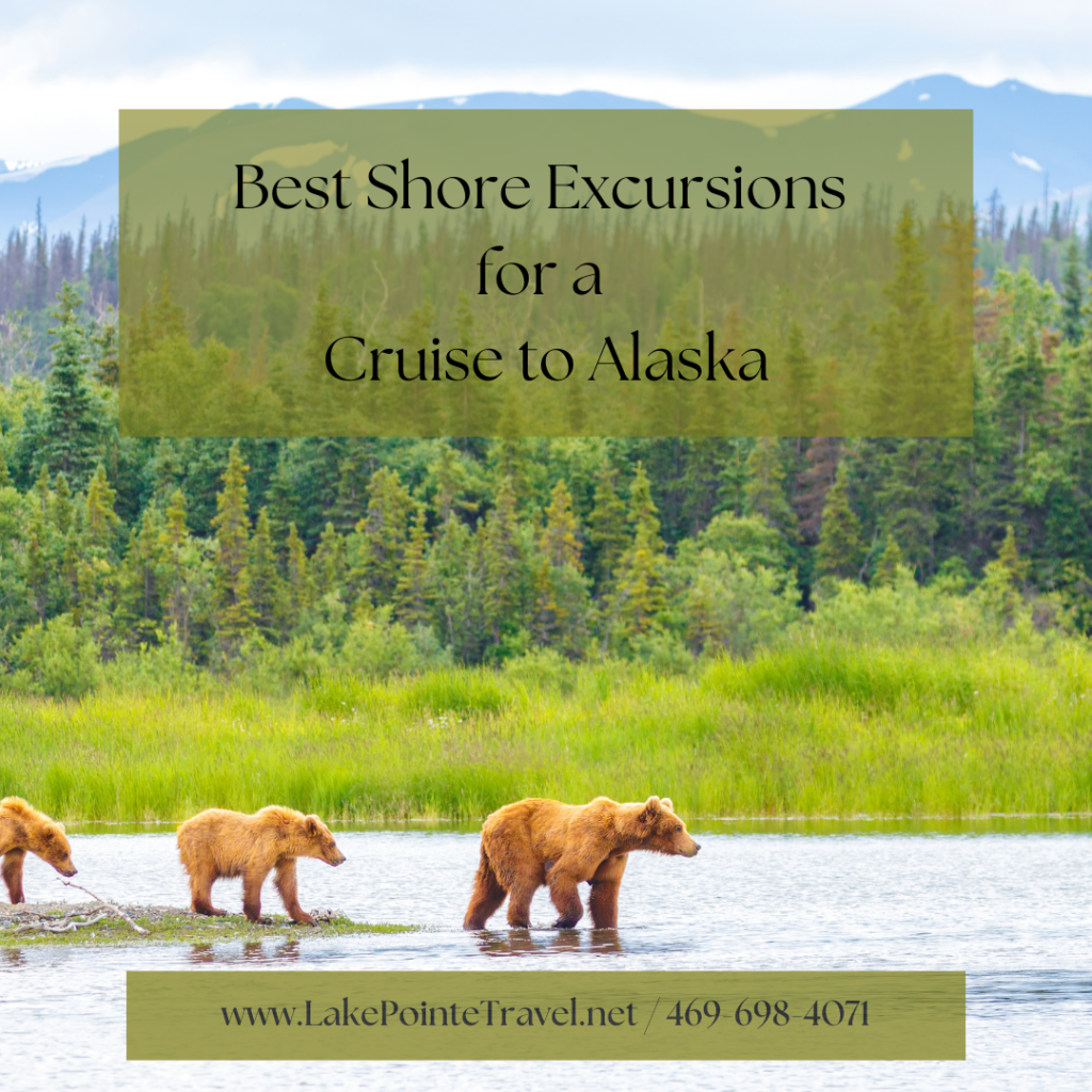 Best shore excursions for a cruise to Alaska